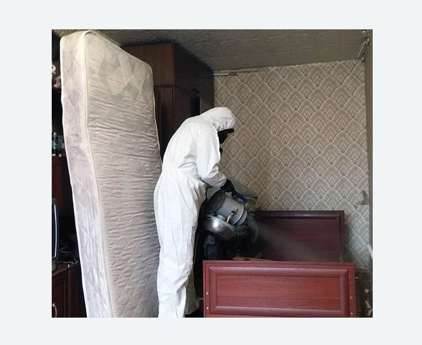 Уничтожение КЛОПОВ в Полевском – Обработка с гарантией, Цена от 900 р.